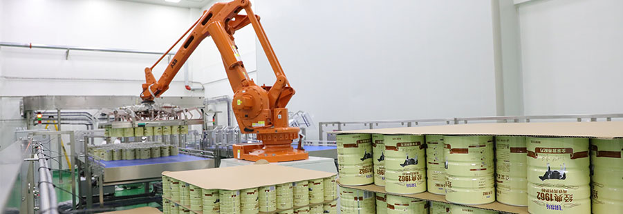 全自动码垛机/卸垛机系列